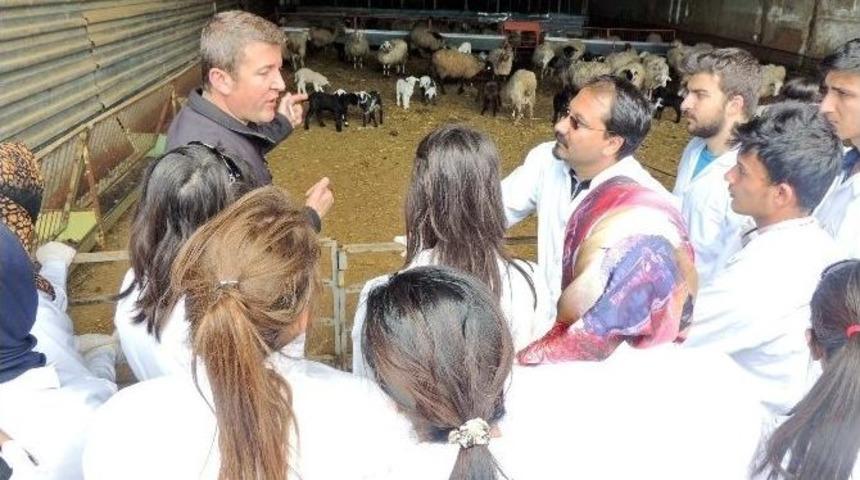 İslahiye Myo &Ouml;ğrencilerinden Ke&ccedil;i &Ccedil;iftliğine Teknik Gezi