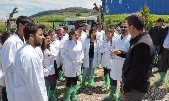 İslahiye Myo &Ouml;ğrencilerinden Ke&ccedil;i &Ccedil;iftliğine Teknik Gezi 2