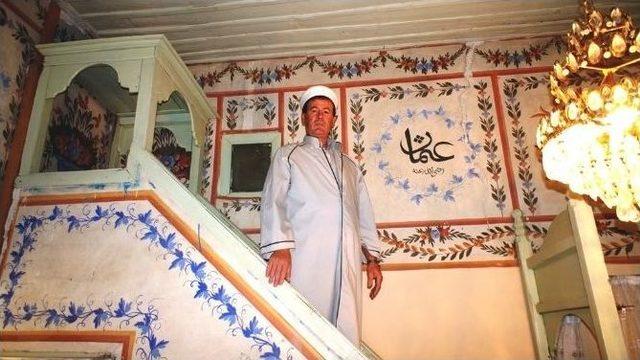 Camideki K&ouml;k Boya Desenler 137 Yıldır Zamana Meydan Okuyor 3