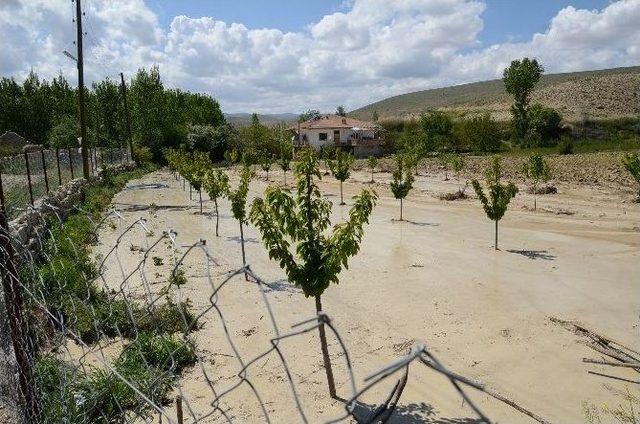 Darende’de Bahçe Ve Tarım Arazileri Sular Altında Kaldı