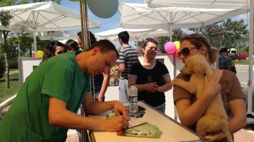 "yuva Arayan Patiler" Yeni Ailelerine Kavuştu