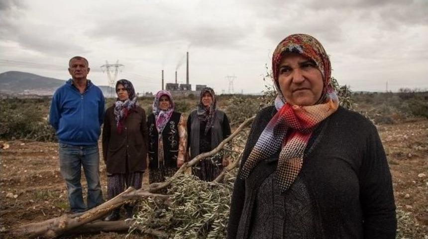 Greenpeace, K&ouml;m&uuml;r Yatırımlarının İptal Edilmesini İstedi