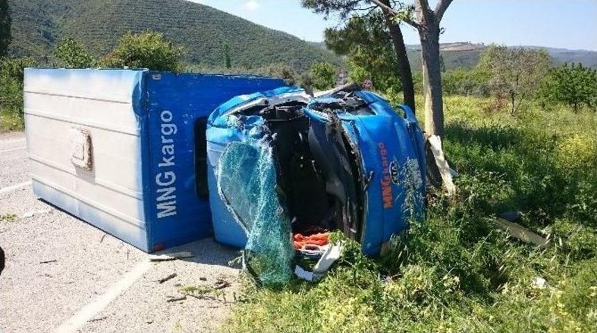 Kargo Aracı Ağaca &Ccedil;arptı: 2 Yaralı