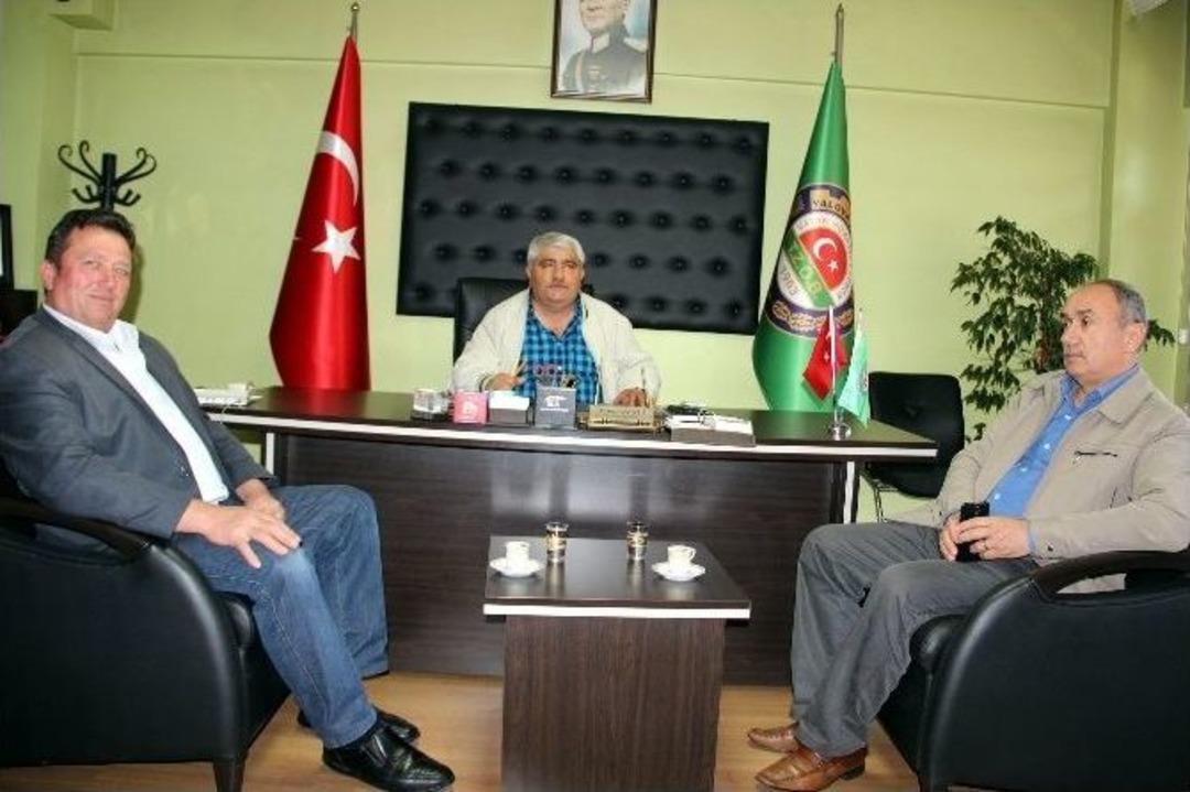 Yalova&rsquo;da Kivi Bah&ccedil;elerini Fırtına Vurdu