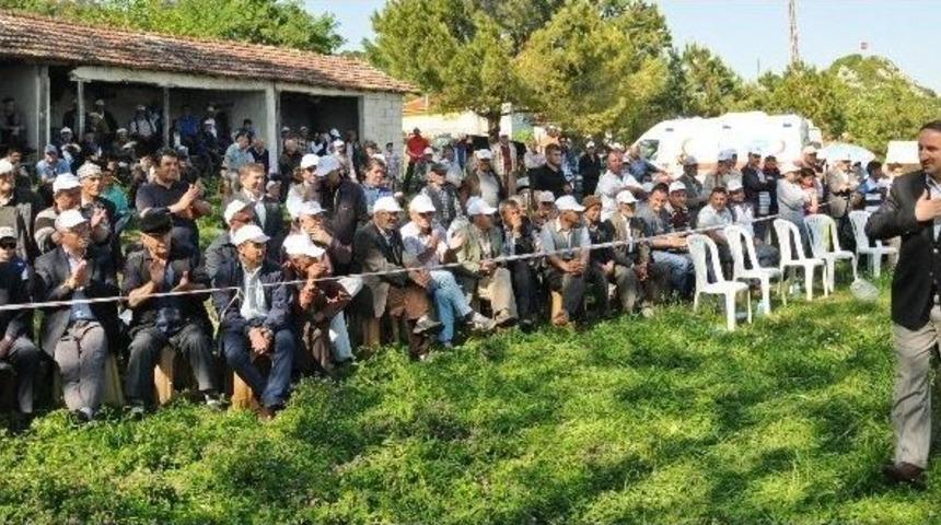Bursa&rsquo;da Yağlı G&uuml;reş Heyecanı