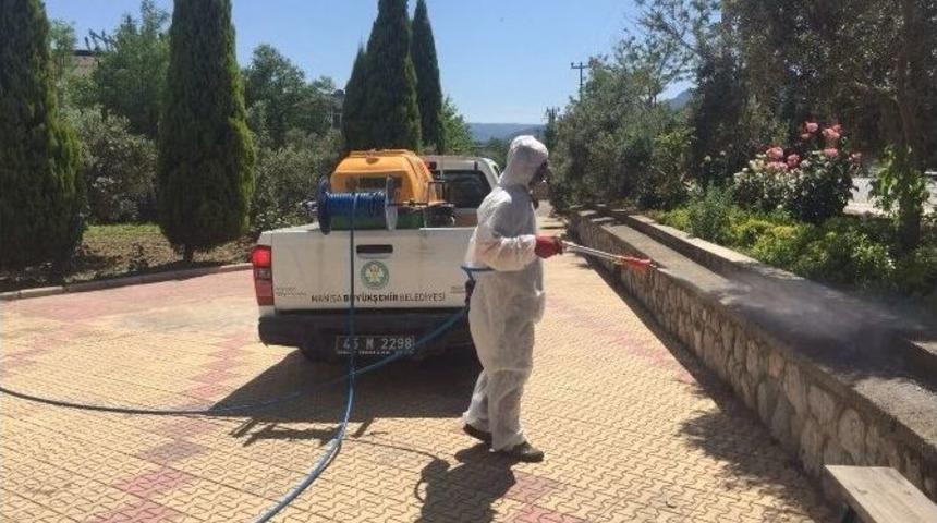 Kene Sandılar, Kırmızı &Ouml;r&uuml;mcek &Ccedil;ıktı