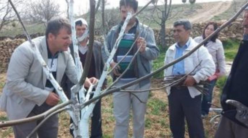 Beyşehir&rsquo;de Meyve Yetiştiricilerine &lsquo;kara Leke&rsquo; Uyarısı