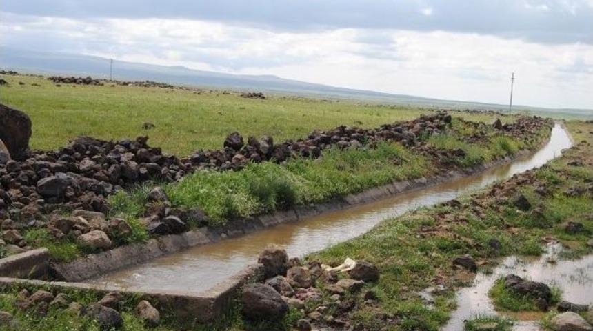Karacadağ B&ouml;lge &Ccedil;ift&ccedil;isinin Y&uuml;z&uuml; G&uuml;ld&uuml;