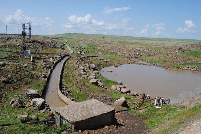 Karacadağ Bölge Çiftçisinin Yüzü Güldü 1