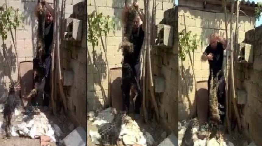 Kediye K&ouml;pekli Eziyete 1002 Lira Ceza