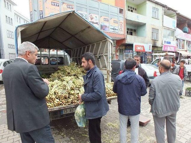 Şifalı Otlar Geçim Kaynakları Oldu