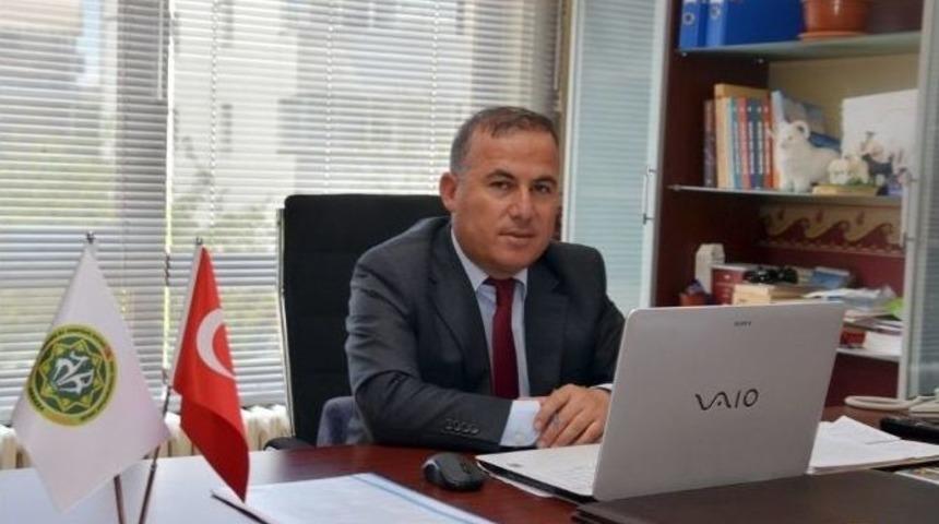 Kızılcahamam&rsquo;da Oğlak Şenliği D&uuml;zenlenecek