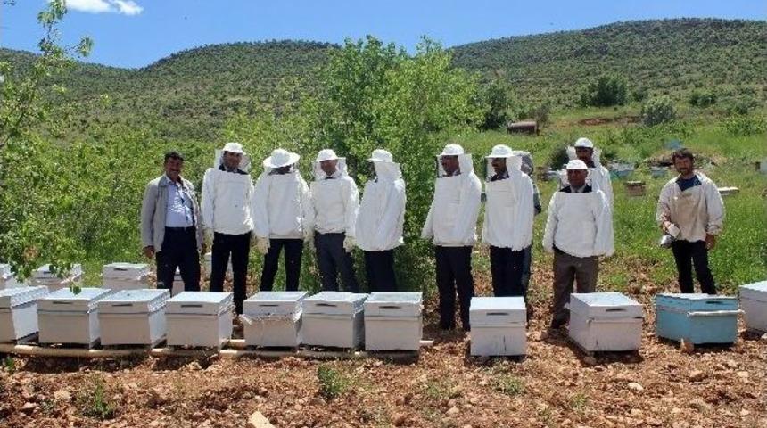 Savur&rsquo;da Arıcılık Projesi Hayata Ge&ccedil;irildi