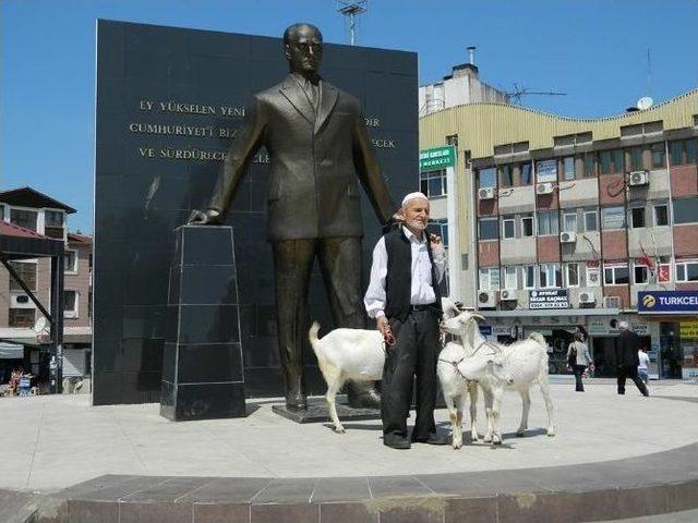 Şehir Merkezinde Keçileriyle Gezdi