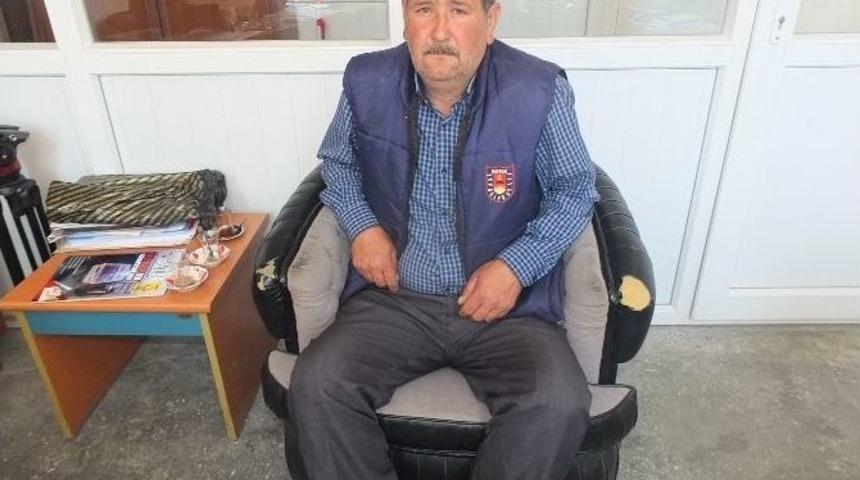 K&ouml;ylere Terk Edilen Sokak K&ouml;pekleri Sorun Oluyor