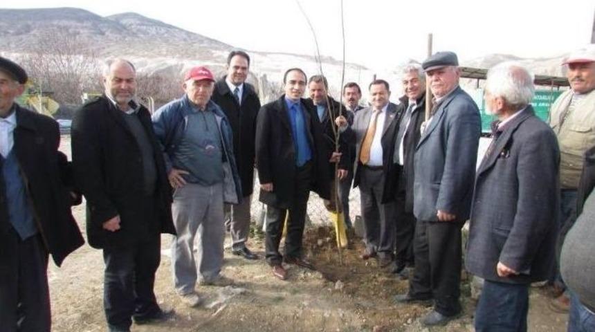 Ulukışla’nın Köy Yollarına 40 Bin Fidan Dikildi