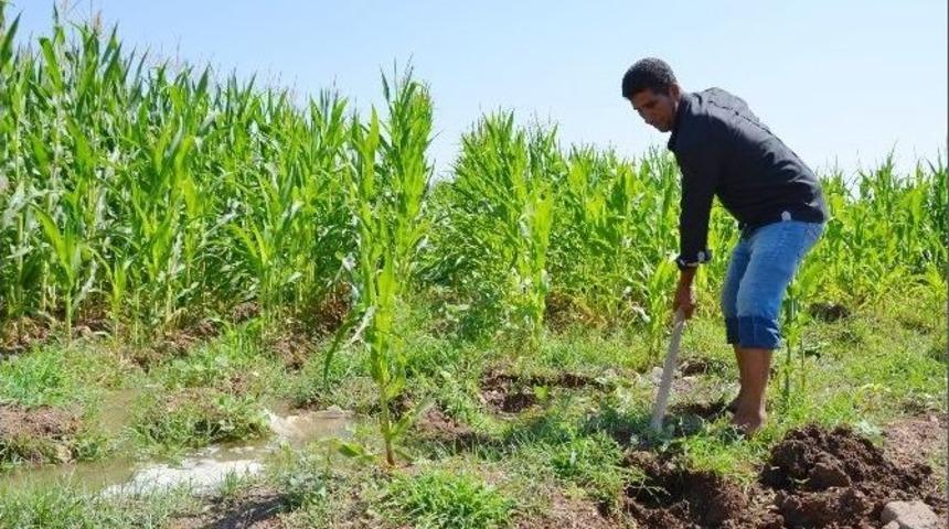 Dicle Elektrik, &Ccedil;ift&ccedil;iler G&uuml;n&uuml;&rsquo;n&uuml; Kutladı