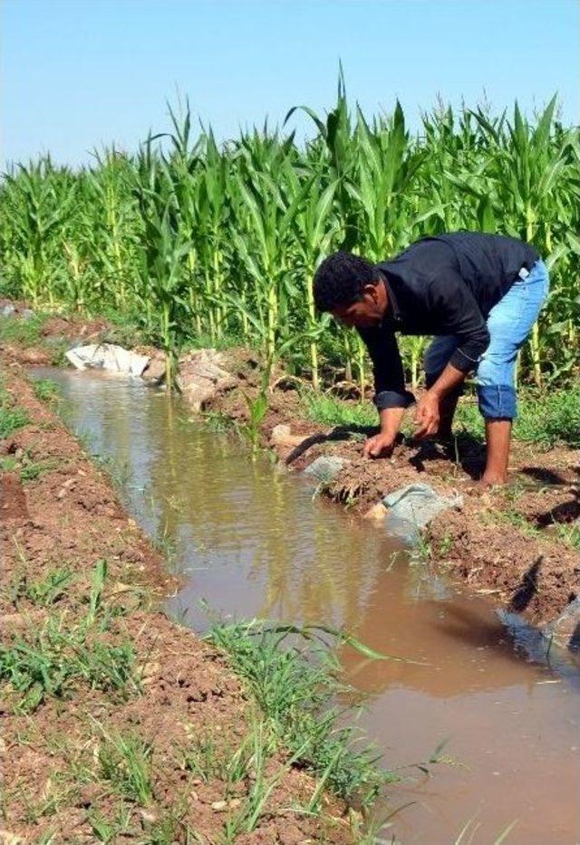 Dicle Elektrik, Çiftçiler Günü’nü Kutladı