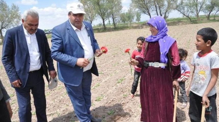 (&ouml;zel Haber) Aksaray&rsquo;da &Ccedil;ift&ccedil;ilere Karanfilli Kutlama