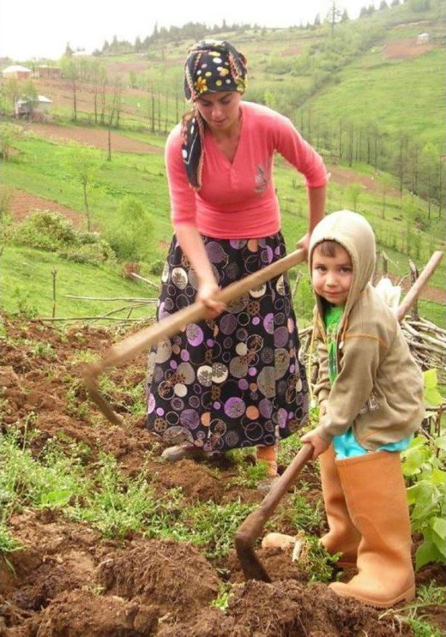 Kente G&ouml;&ccedil;, Kadının Işg&uuml;c&uuml;ne Katılımını D&uuml;ş&uuml;rd&uuml; 1