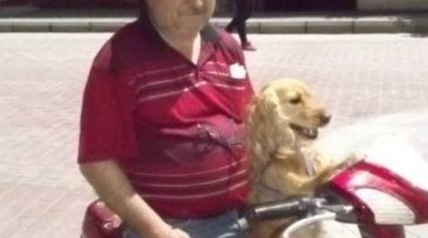 Yavru Golden Daisy&rsquo;nin Keyfine Diyecek Yok