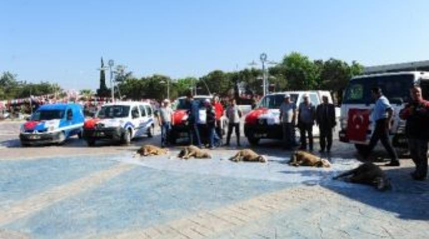 Biga Belediyesine Yeni Ara&ccedil;lar Alındı