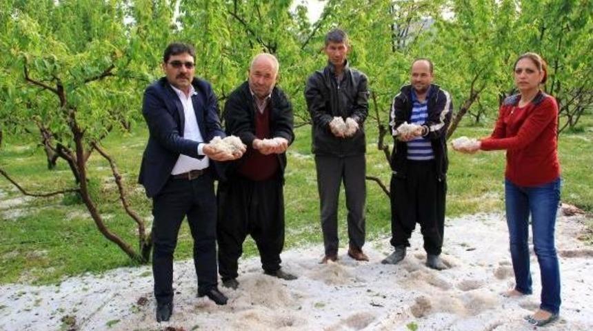 Mersin'de Dolu Zarara Neden Oldu