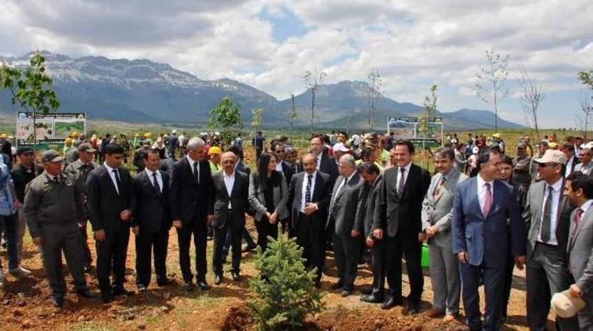 Ne&uuml;&rsquo;de Fidanlar Toprakla Buluşturuldu