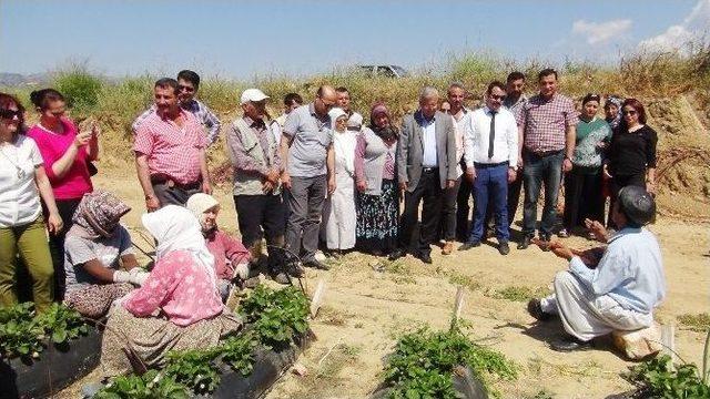 (özel Haber) Vekil Adayına Sazlı Sözlü Nasihat