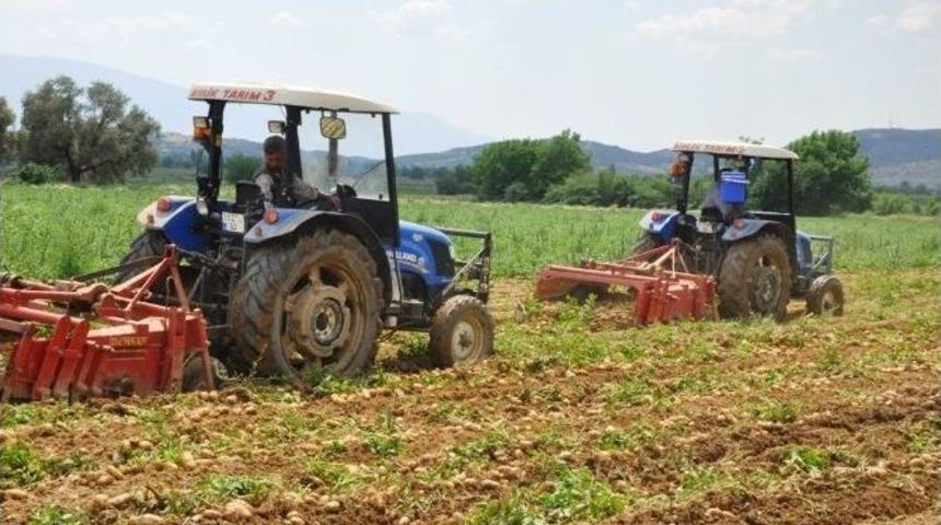 Patates Fiyatı D&uuml;şt&uuml;, &Uuml;reticiyi İthalat Korkusu Sardı