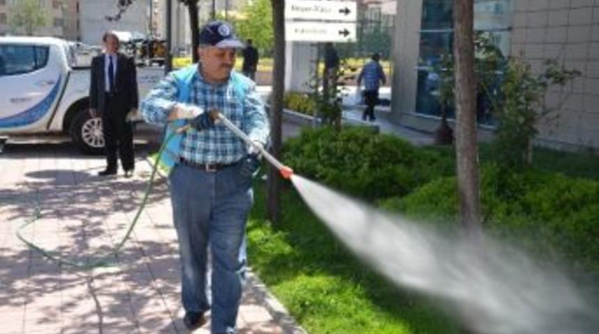 Sinekle M&uuml;cadele Filosu G&ouml;reve Başladı