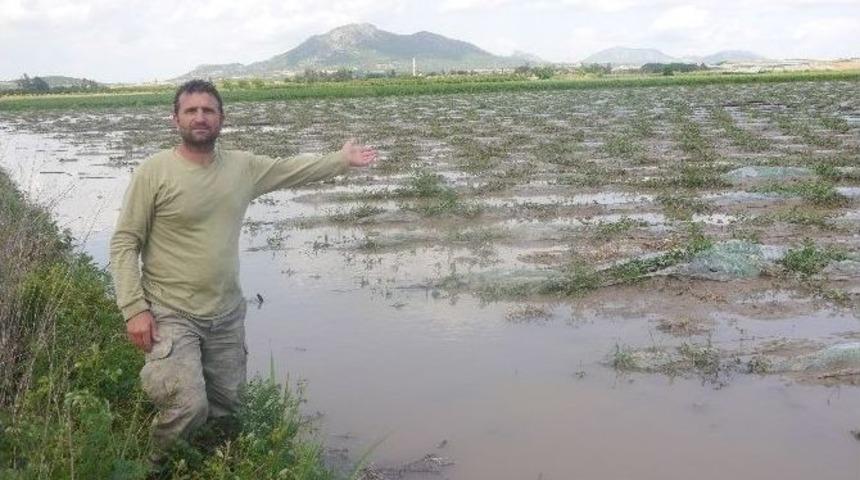 &Ccedil;ukurova&rsquo;da Şiddetli Yağış Ve Dolu Tarım Arazilerini Vurdu