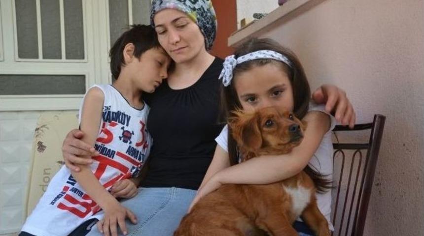 Minik Bet&uuml;l&rsquo;&uuml;n Hayali Ger&ccedil;ek Oluyor