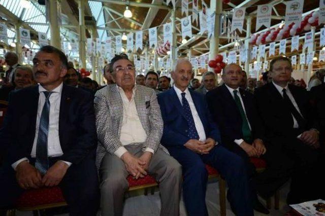 Feshane de G&uuml;m&uuml;şhane Tanıtım G&uuml;nleri... 1