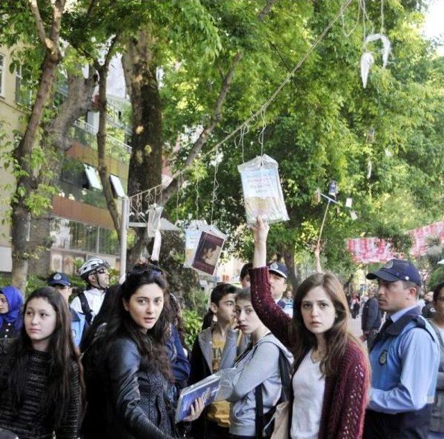 Kocaeli'nin 12 Ilçesinde Ağaçlar Kitap Açtı