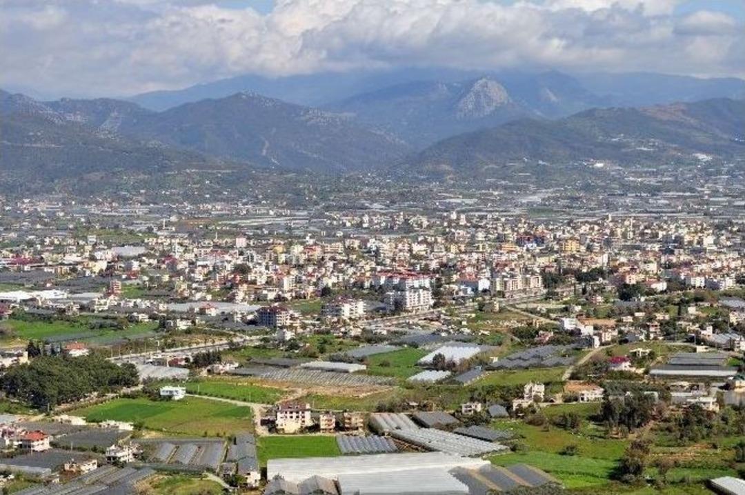 Doğum G&uuml;nleri, "00.00"