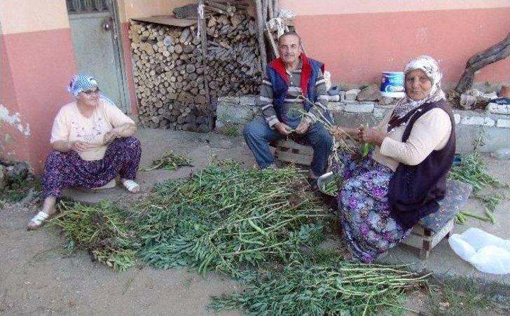 Doğum Günleri, "00.00" G4