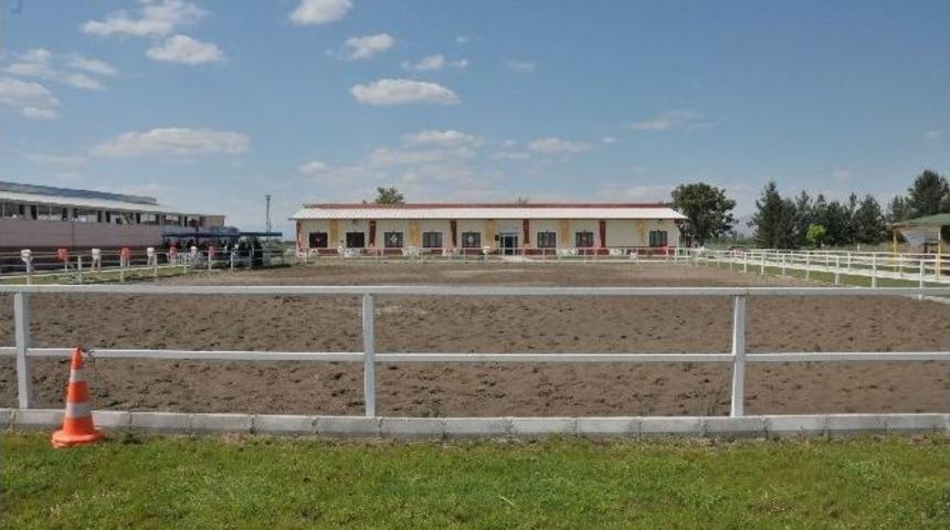 At&ccedil;ılık, Binicilik Rehabilitasyon Tesisi A&ccedil;ıldı