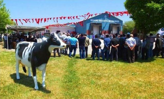 Tarımda Büyük Hedef (2)