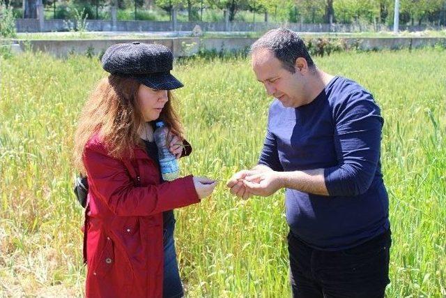 Çiftçiye Bitki Koruma Ürünleri Uygulama Belgesi Eğitimi Verildi