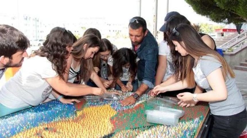 Raptiyeli Hafsa Sultan Portresi Guinness'e Girecek