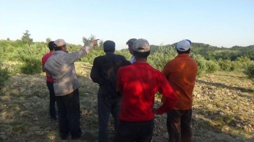 Suriye&rsquo;ye Ait Hava Aracının D&uuml;ş&uuml;r&uuml;lmesi, Hatay&rsquo;ın Yayladağı İl&ccedil;esinden G&ouml;r&uuml;ld&uuml;