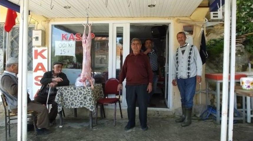 Ağacık&rsquo;da &Ccedil;aya Kadın Eli Değdi