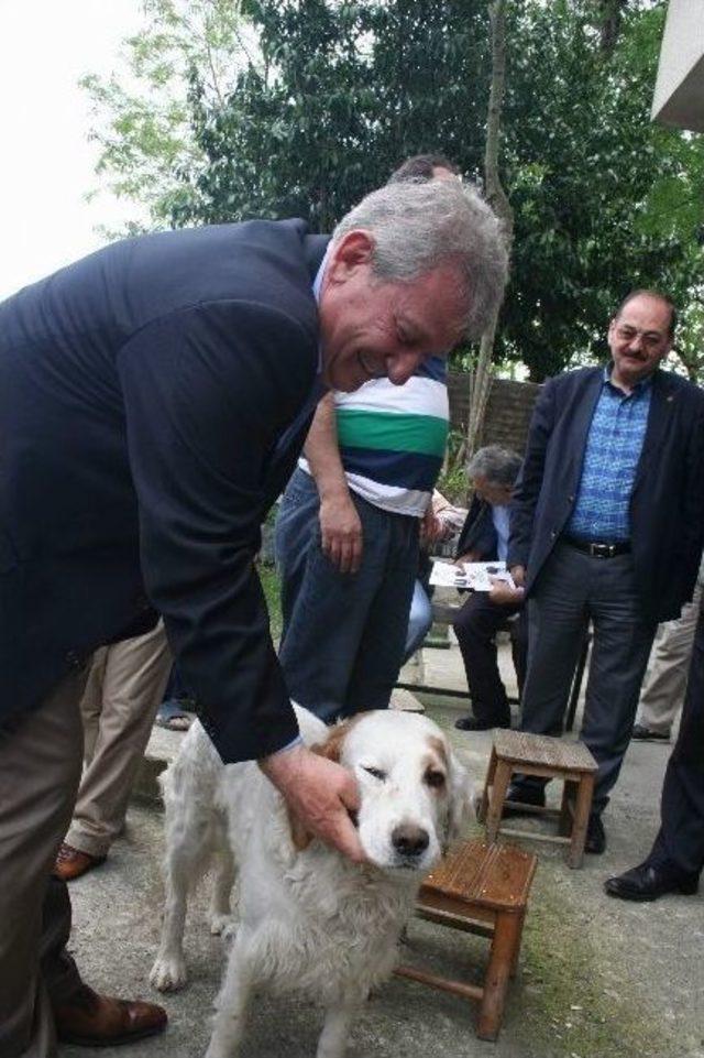 Chp Trabzon Milletvekili Adayı Avukat Haluk Pekşen :