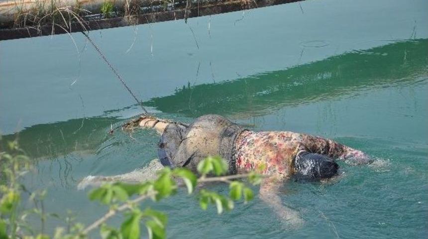 Kanalda G&ouml;rd&uuml;ğ&uuml; Kadın Cesedini Ayağından Bağladı