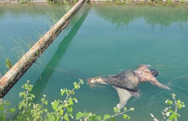 Kanalda Gördüğü Kadın Cesedini Ayağından Bağladı