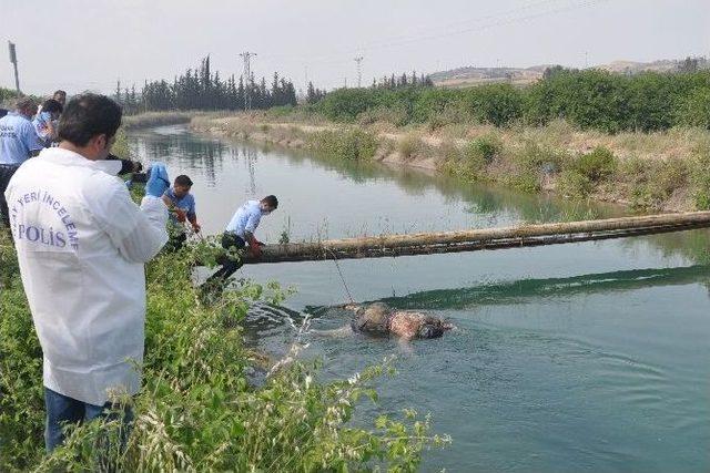 Kanalda Gördüğü Kadın Cesedini Ayağından Bağladı