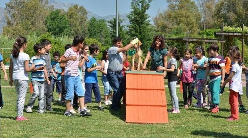 &Ouml;ğrenciler, Sokak Hayvanları Bakımevini Gezdi