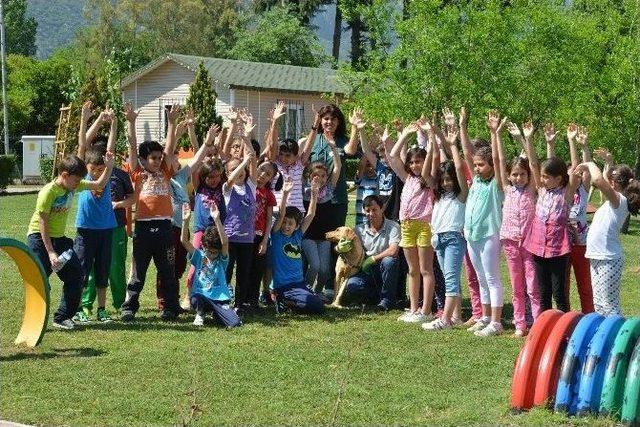 Öğrenciler, Sokak Hayvanları Bakımevini Gezdi