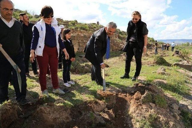 Türk Kadınlar Birliği Kayseri Şubesi’nin Katılımları İle Bölge Ağaçlandırma Çalışmaları